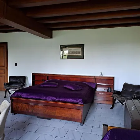 Comfortable With Spacious Garden Holiday home Ygrande