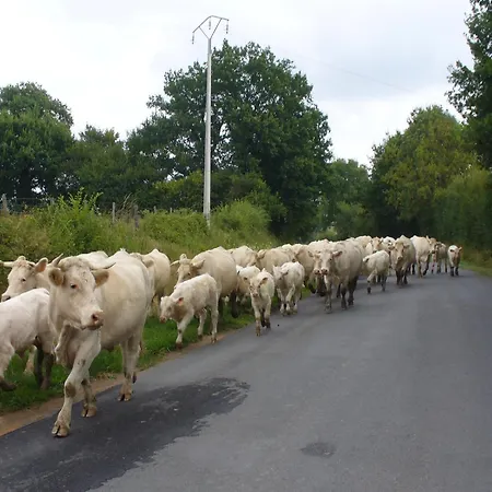 Comfortable With Spacious Garden * Ygrande