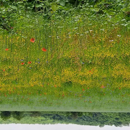 Comfortable With Spacious Garden