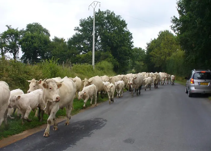 Comfortable With Spacious Garden * Ygrande