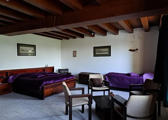 Comfortable With Spacious Garden *