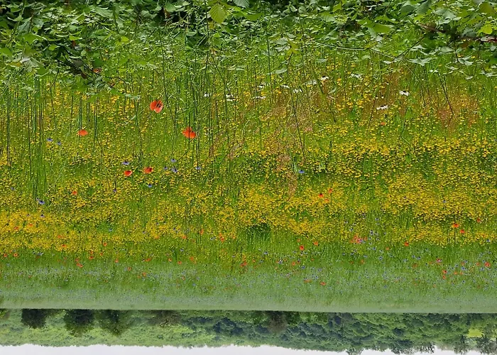 Comfortable With Spacious Garden