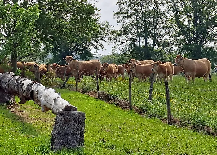 Comfortable With Spacious Garden 別荘 イグランド