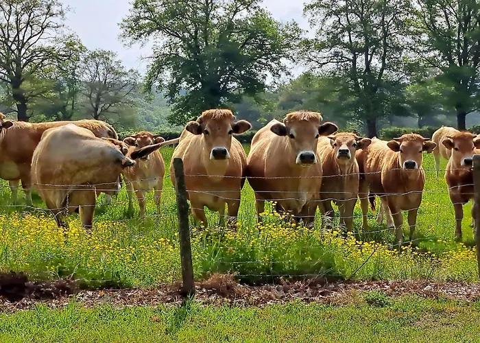 Comfortable With Spacious Garden * Ygrande